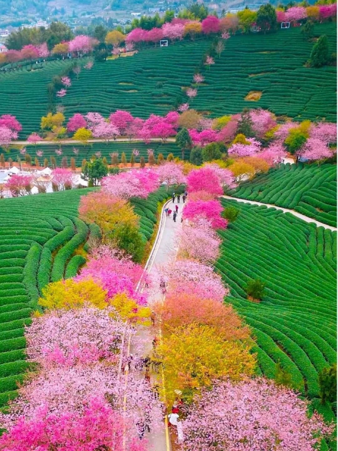 奉送上我的旅游经验给你们避避雷~ 地址福福建福建省漳平市新桥镇图