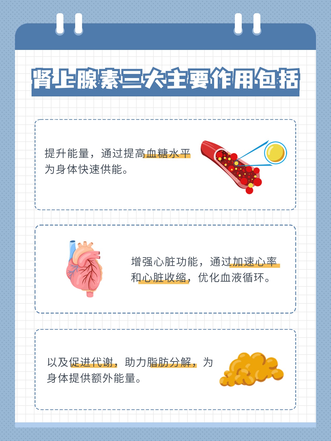 去甲肾上腺素的作用图片