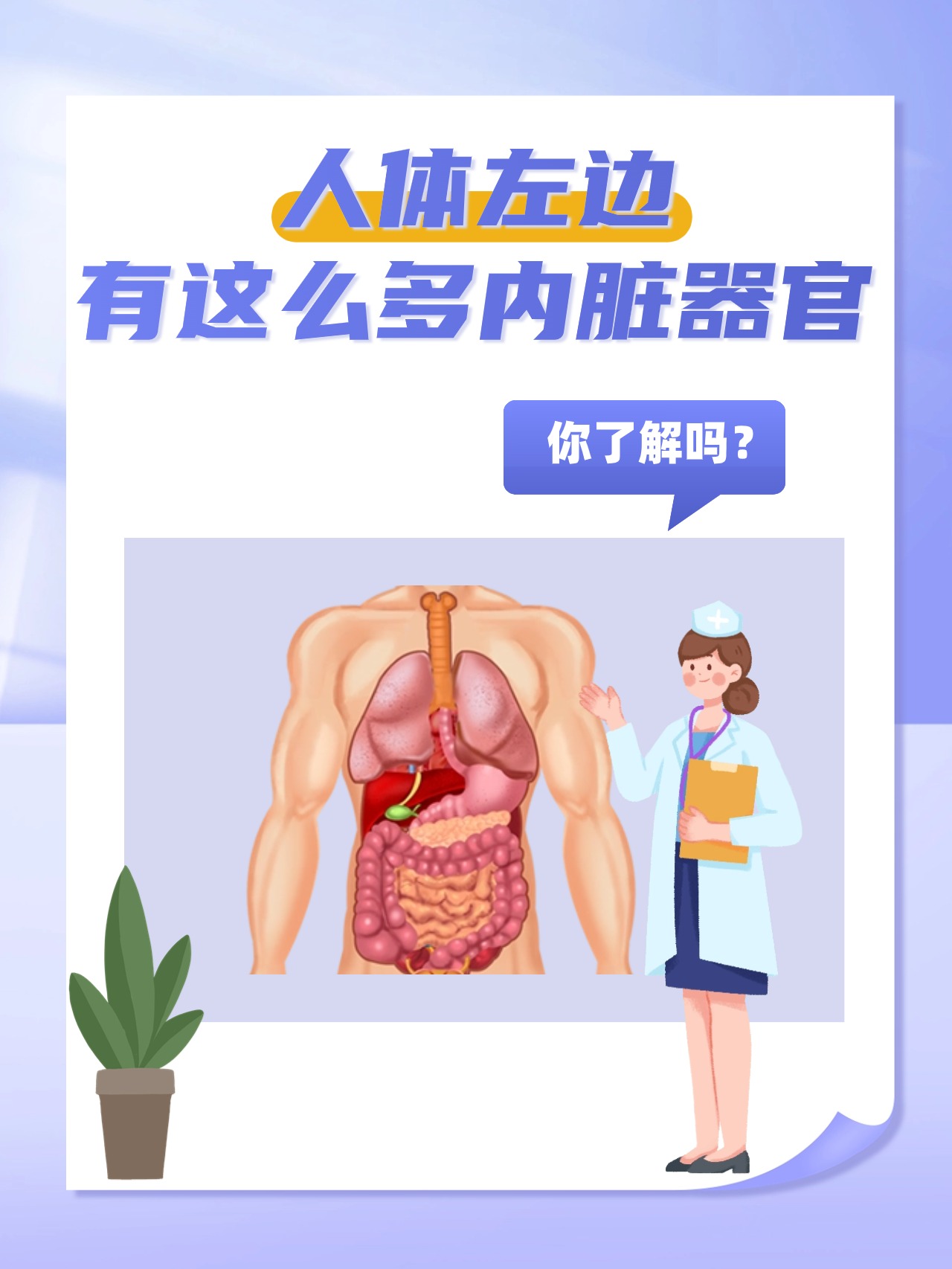 人体左边有这么多内脏器官