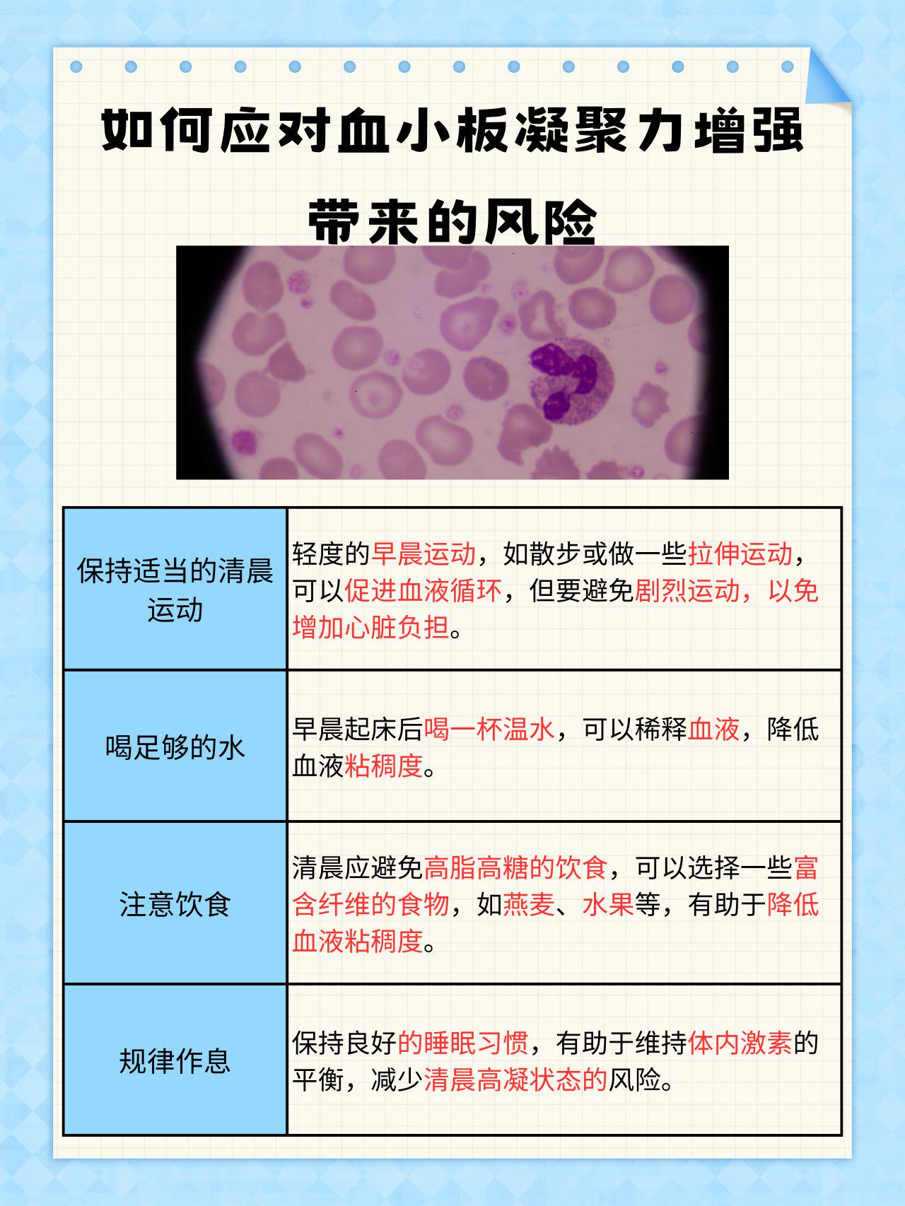 血小板计数手工法图片