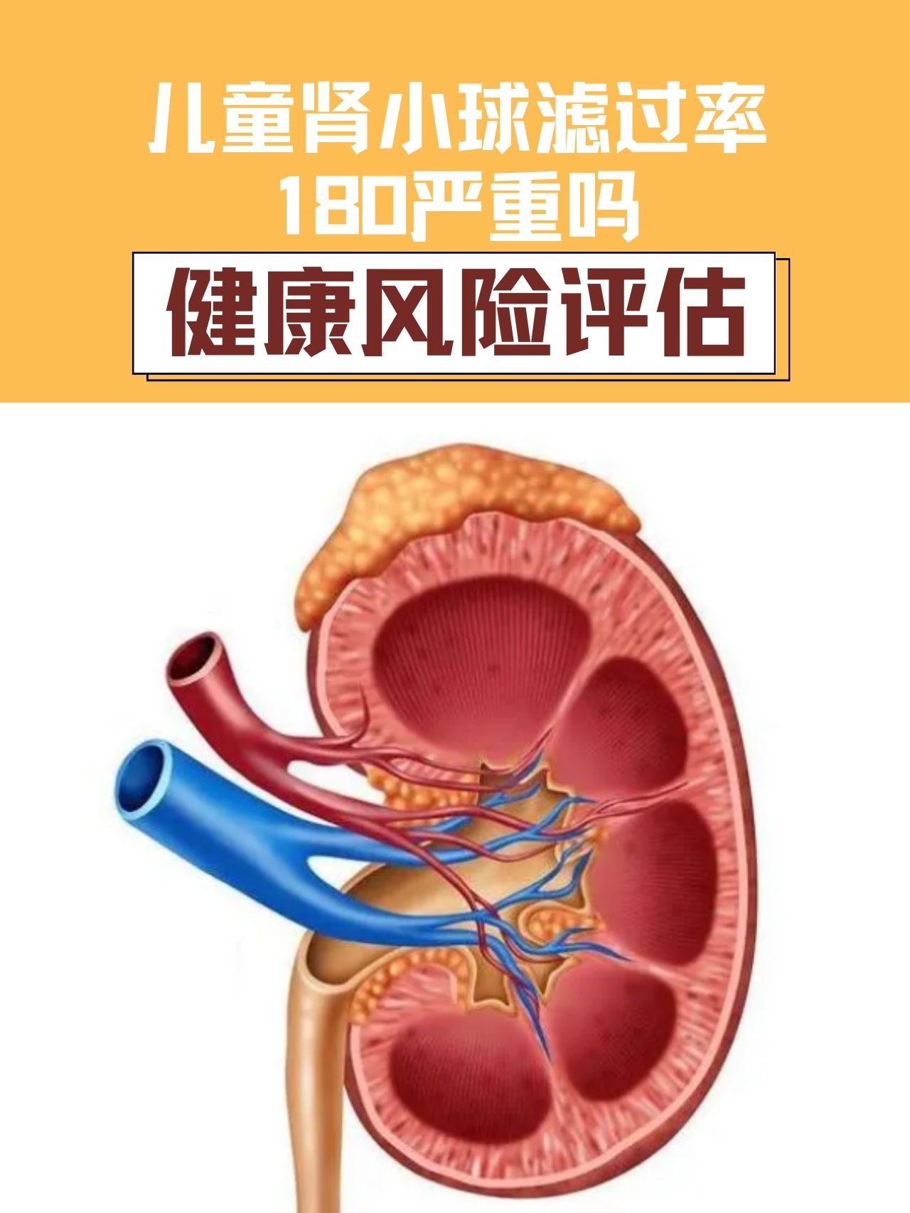 肾小球坏死图片