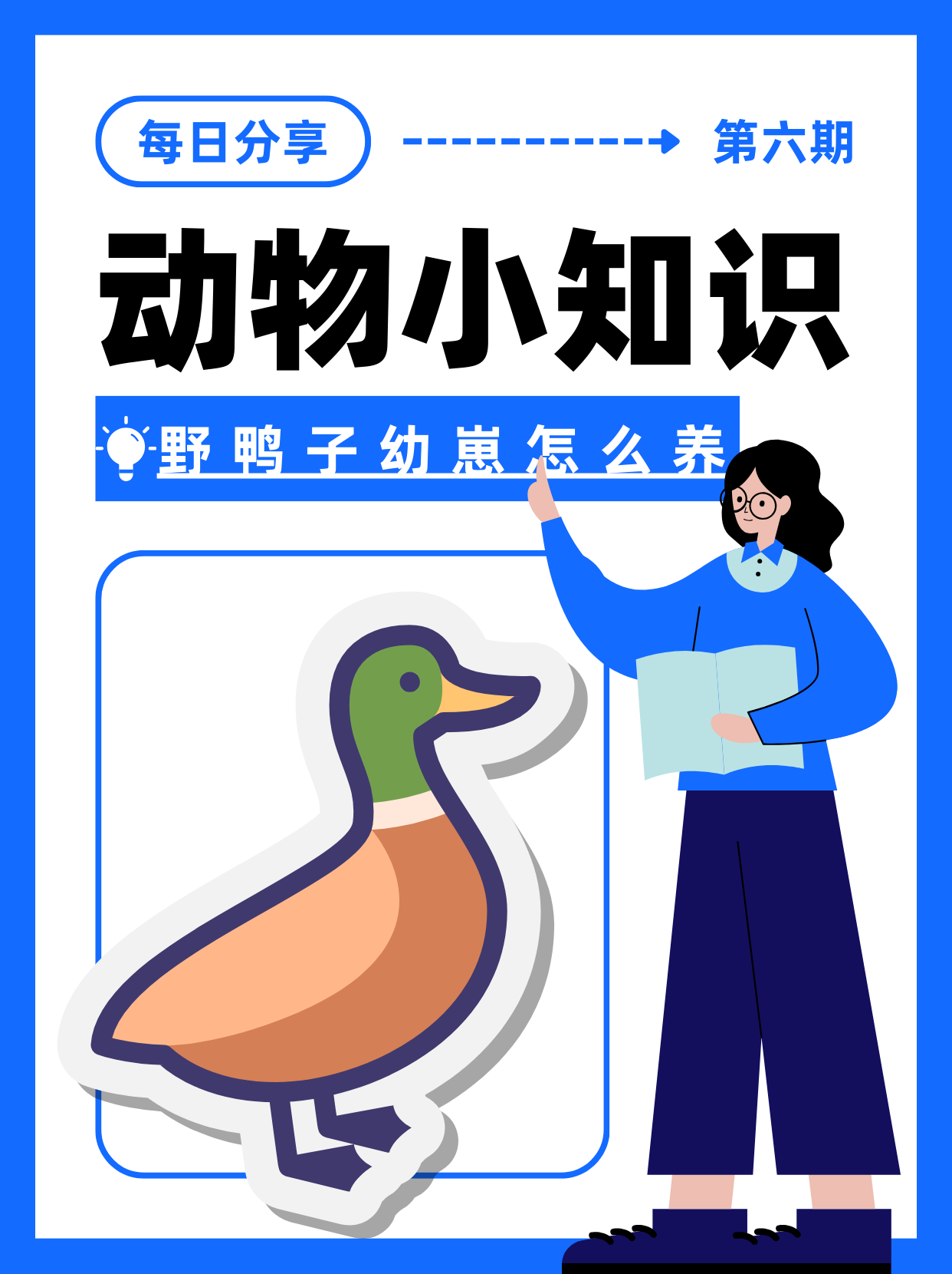野鸭子的幼崽需要特别的照顾和适宜的环境才能健康成长.