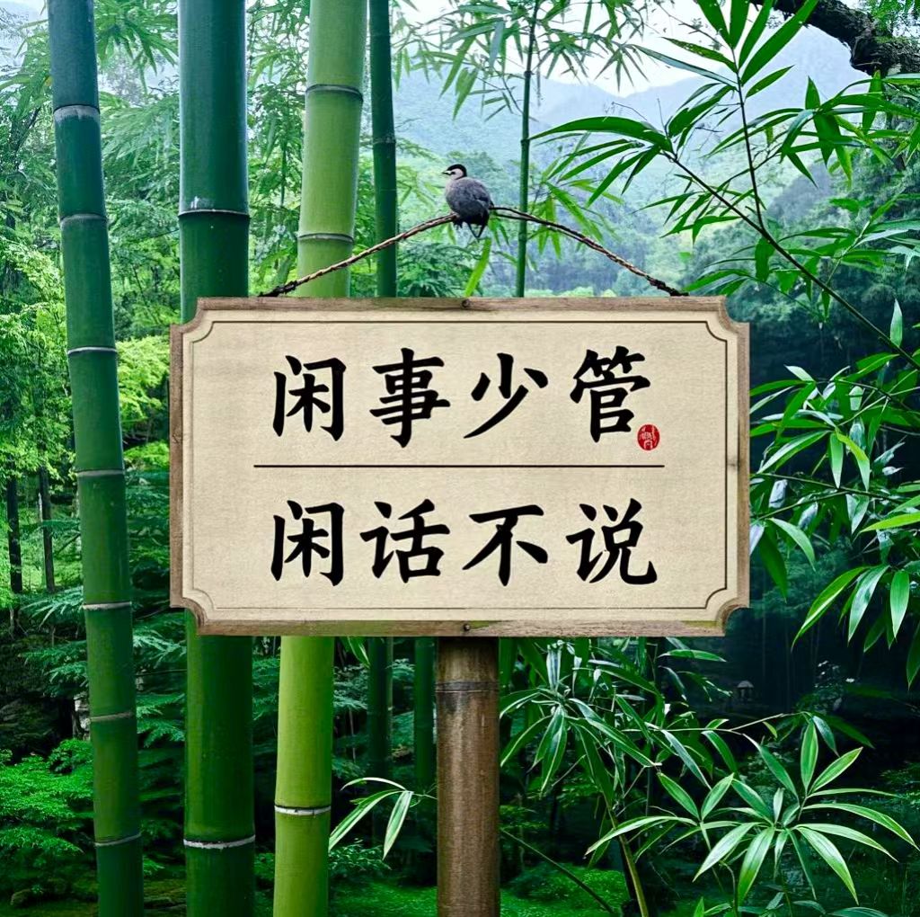 闲事少管,闲话不说",是一种处世智慧,提醒我们专注于自己的生活和责任