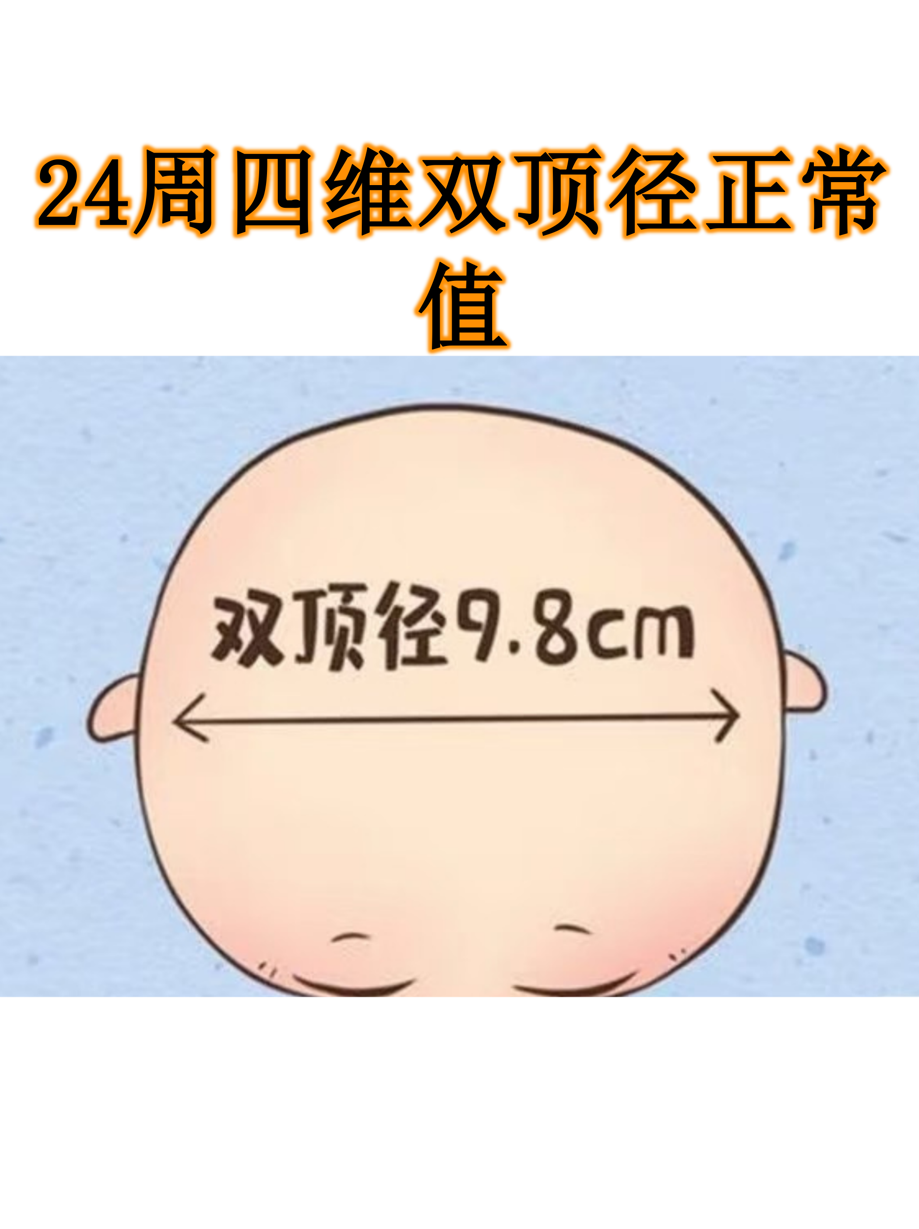 这个阶段宝宝的大脑正在快速发育,通过b超测量双顶径能帮助判断生长