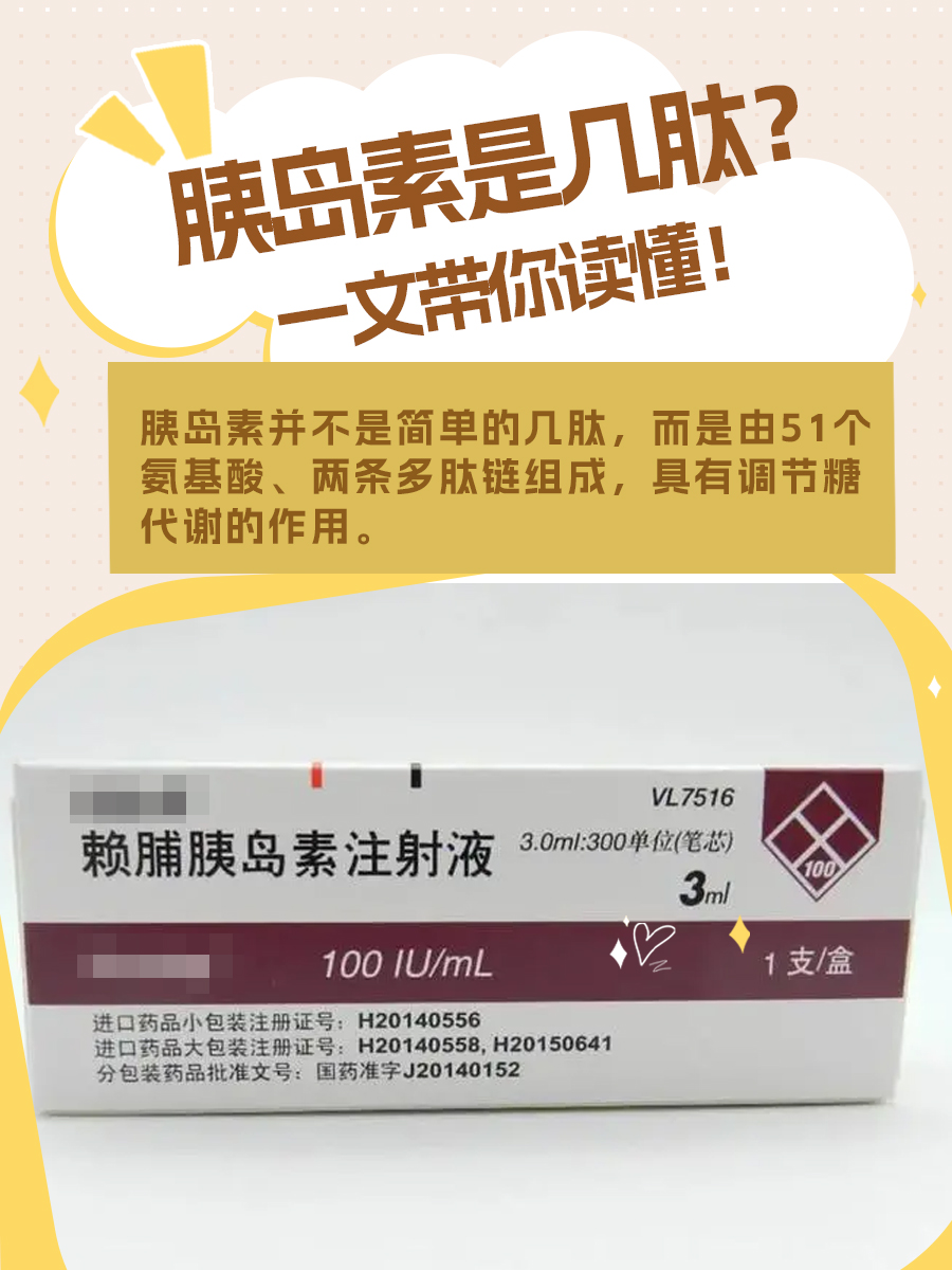 胰岛素其实是一种蛋白质激素,由体内的胰岛β细胞分泌出来的,主要