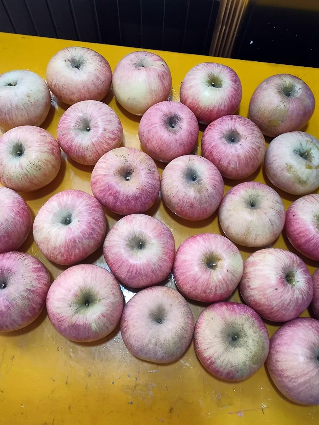 今年的苹果真甜,切开一刀,汁水都快流出来 最近迷上这款苹果,切开都能