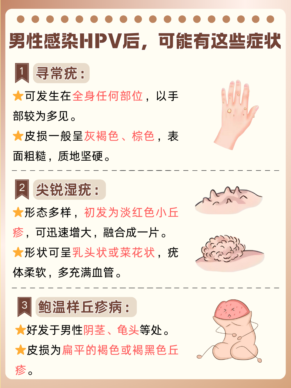 hpv为什么会感染