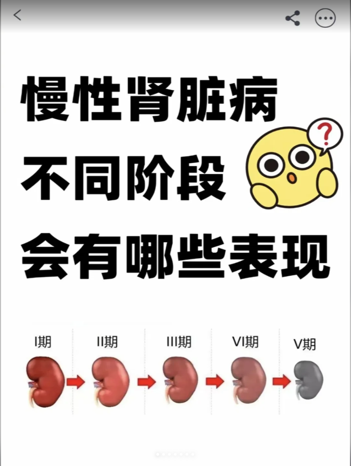 大家好,我是北京公立医院郭旸主任,从事肾病工作近20年了