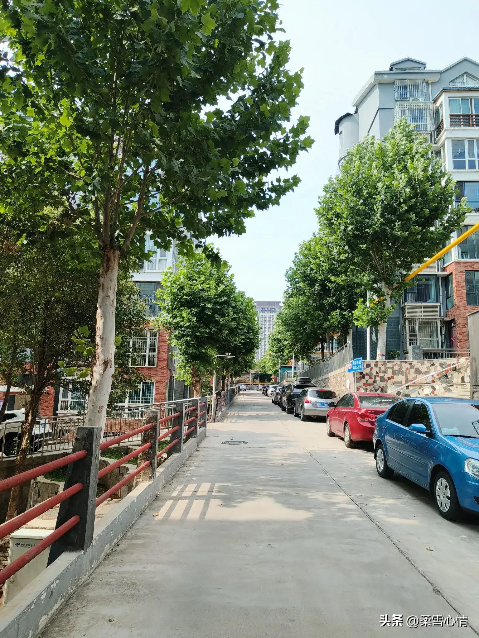 婆婆刚好路过,看见我,有些感慨地说:"还是有牙好啊