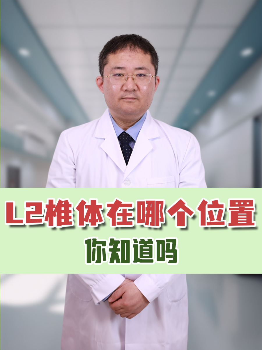 l2椎体在哪个位置,你知道吗