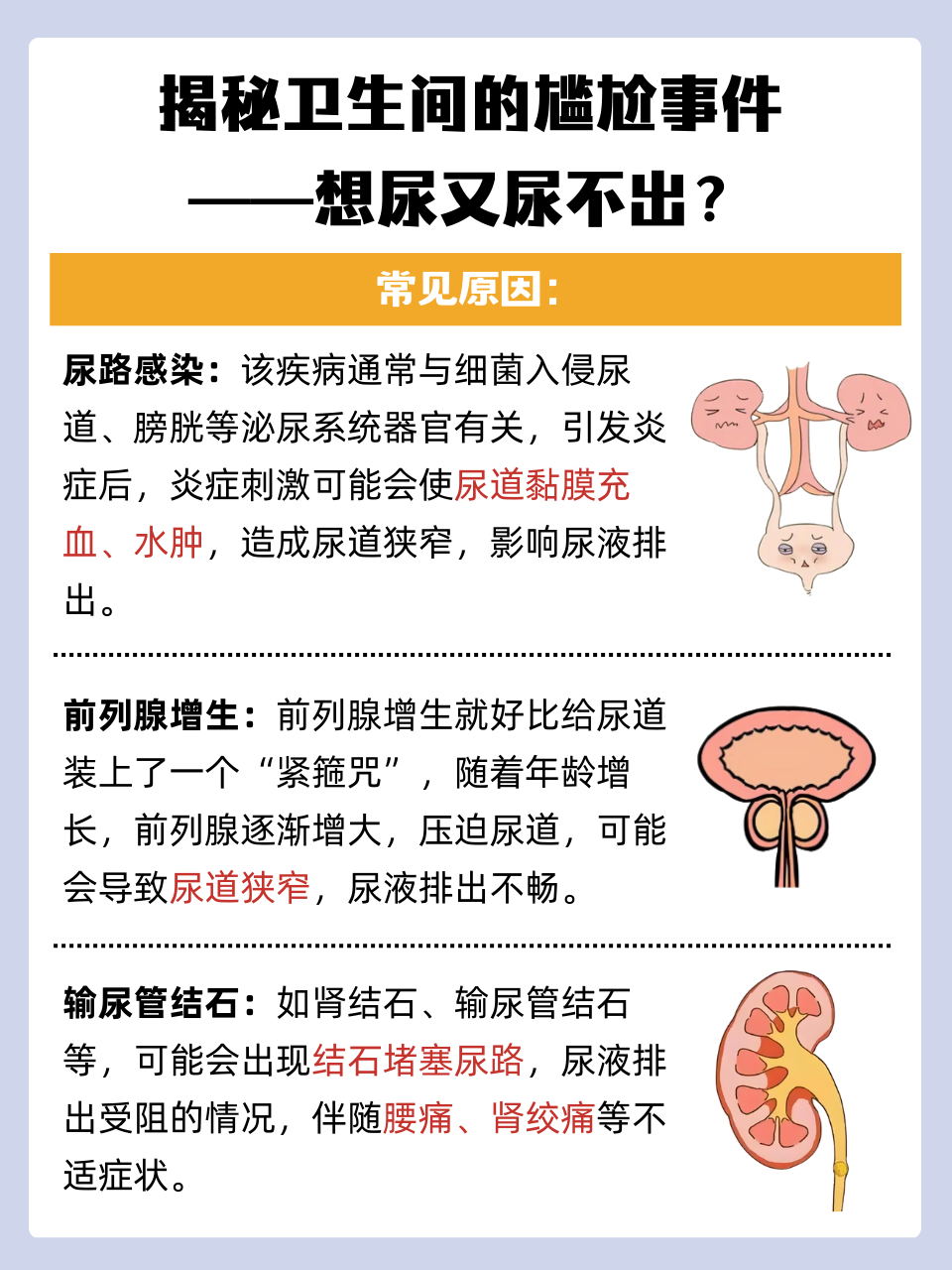 为什么总想尿尿
