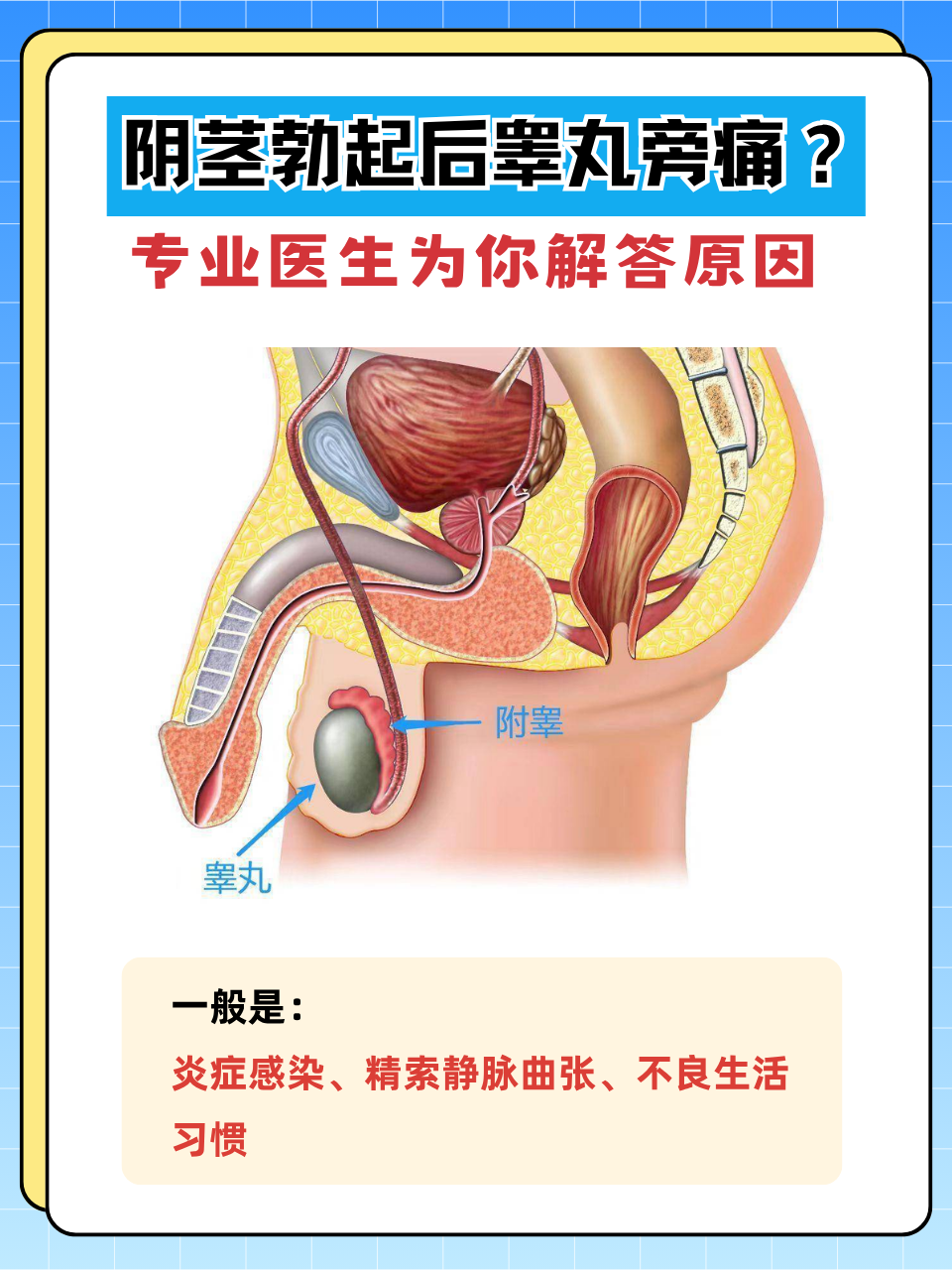 发现阴茎勃起后睾丸旁出现疼痛,不少人会感到