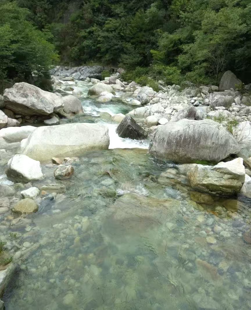 鹞落坪位于大别山腹地,这里山清水秀