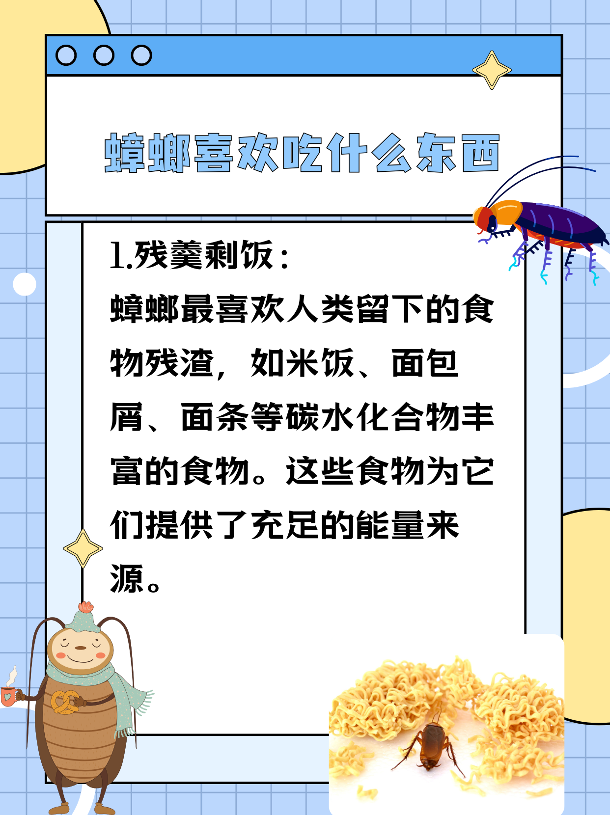 蟑螂,这种顽强的生物,在食物选择上同样展现出
