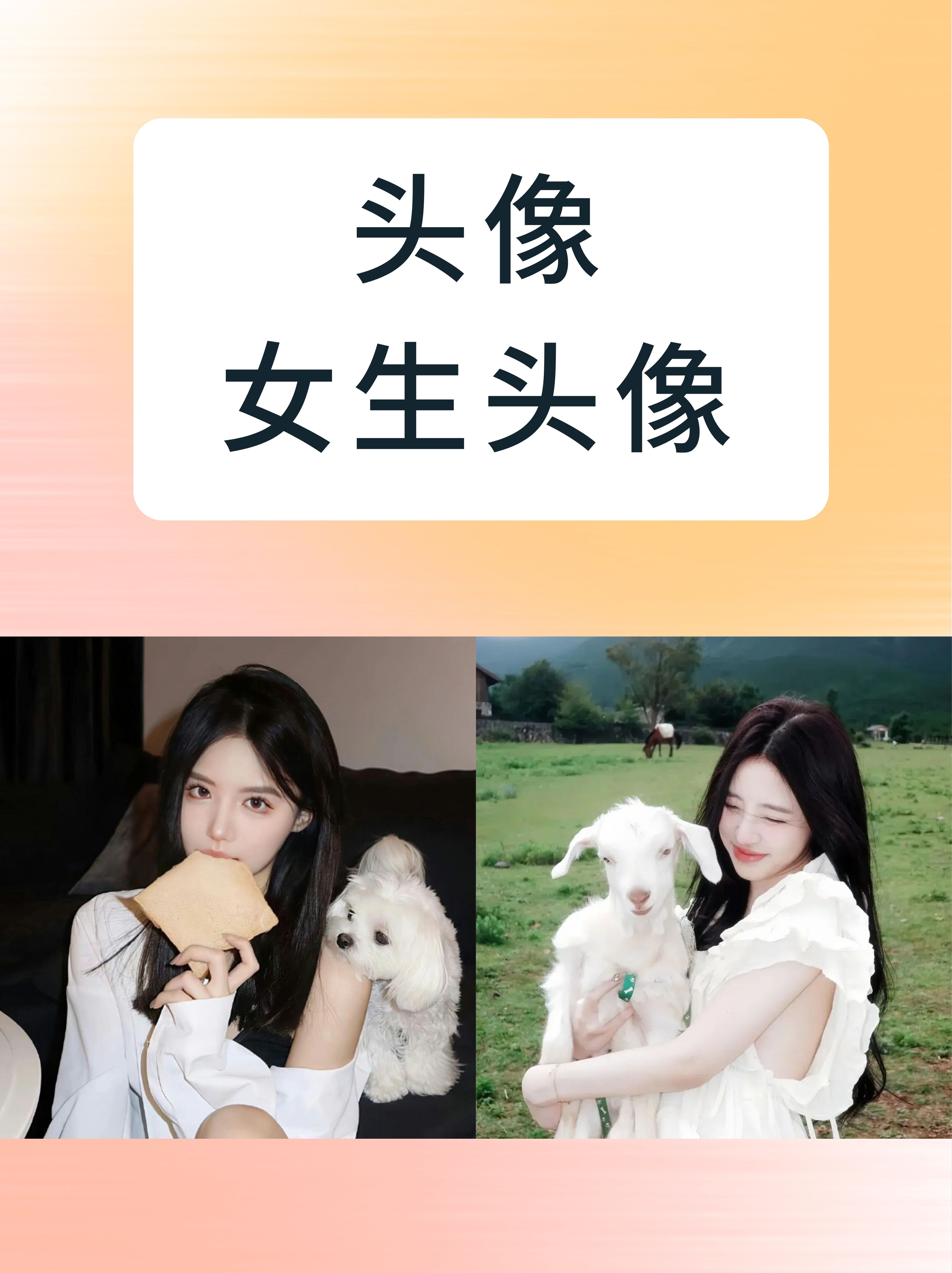 女生头像种类繁多,每一款都承载着不同的个性与情感