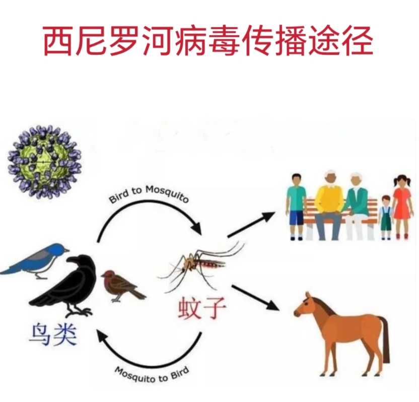 财经疫情新闻（财新网关于疫情的深度报道） 财经疫情消息
（财新网关于疫情的深度报道）《财经新闻疫情》 财经新闻