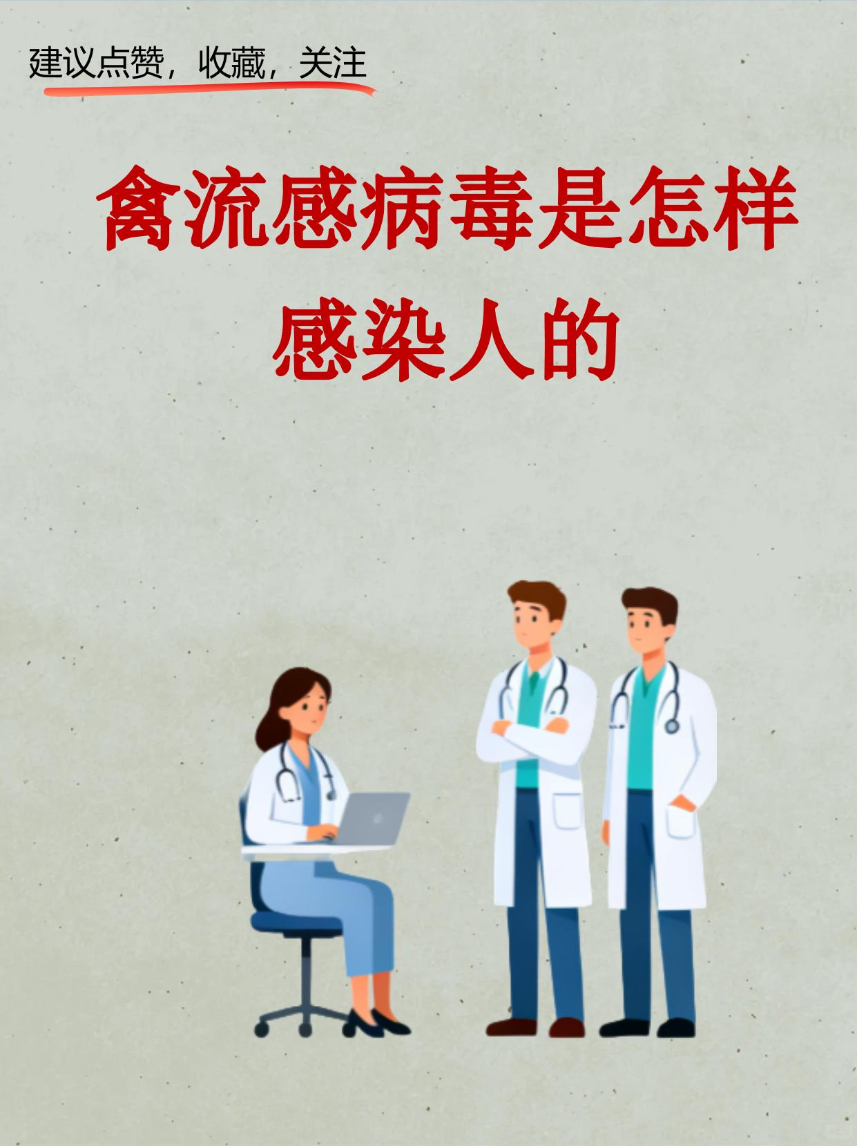 禽流感传播