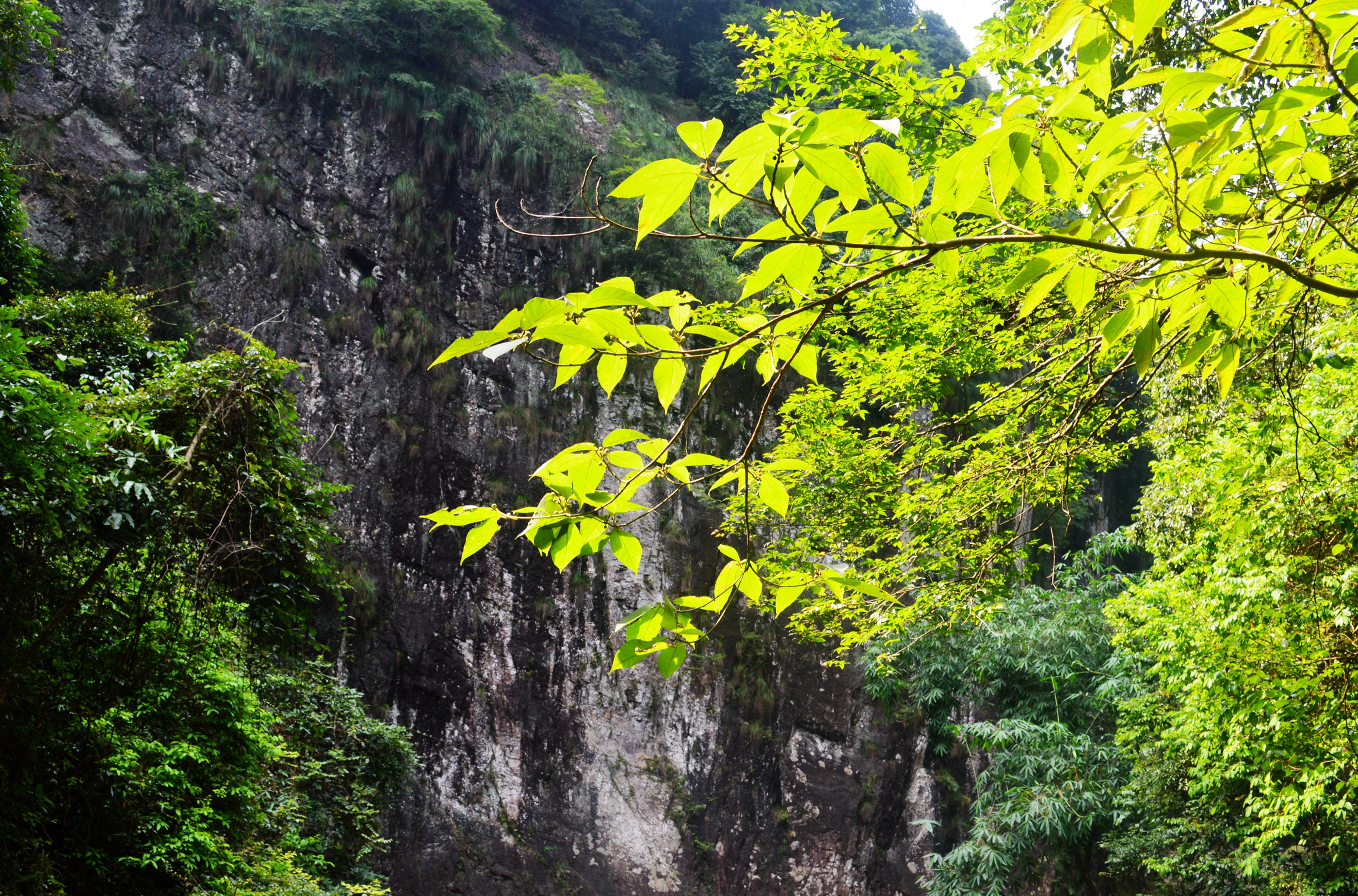 福建永泰云顶山风景区图片