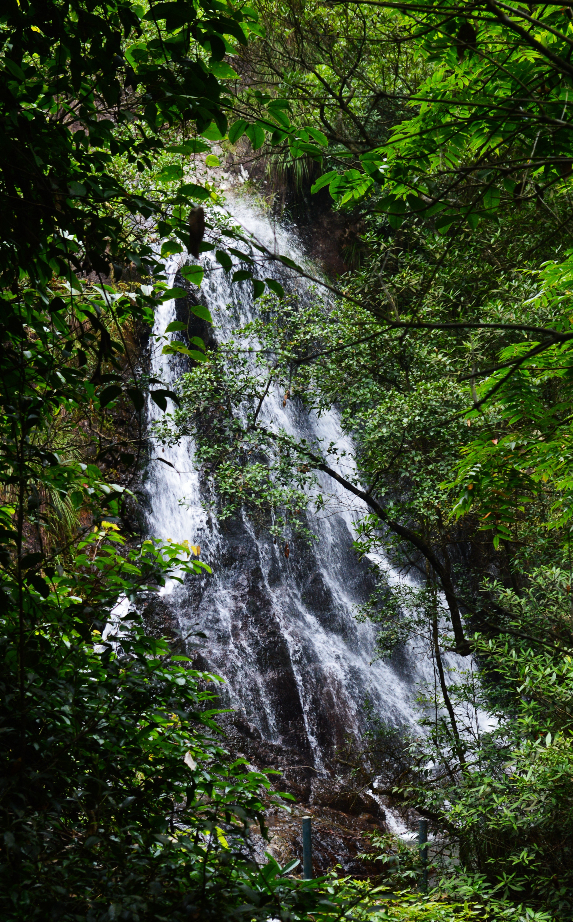 福建永泰云顶山风景区图片