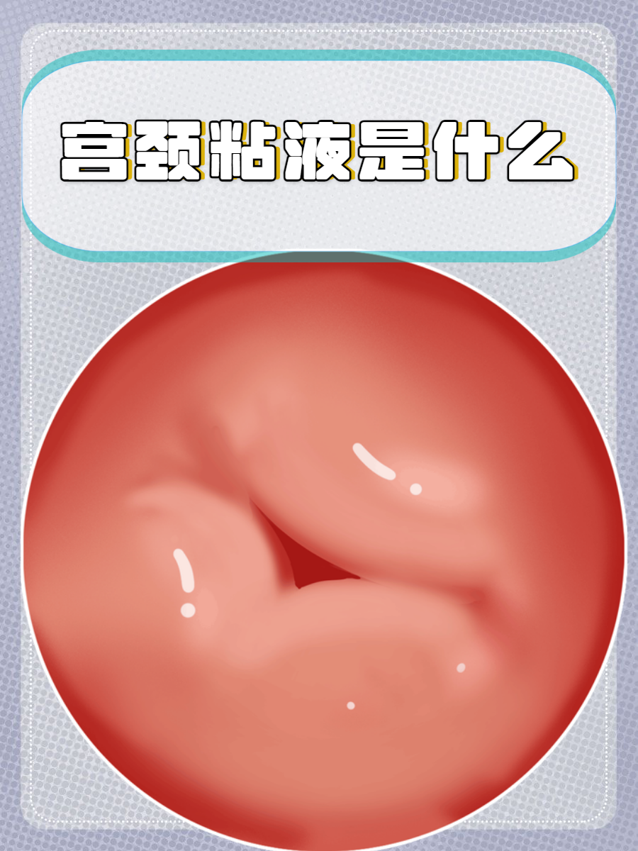 宫颈粘液是女性身体分泌的一种液体
