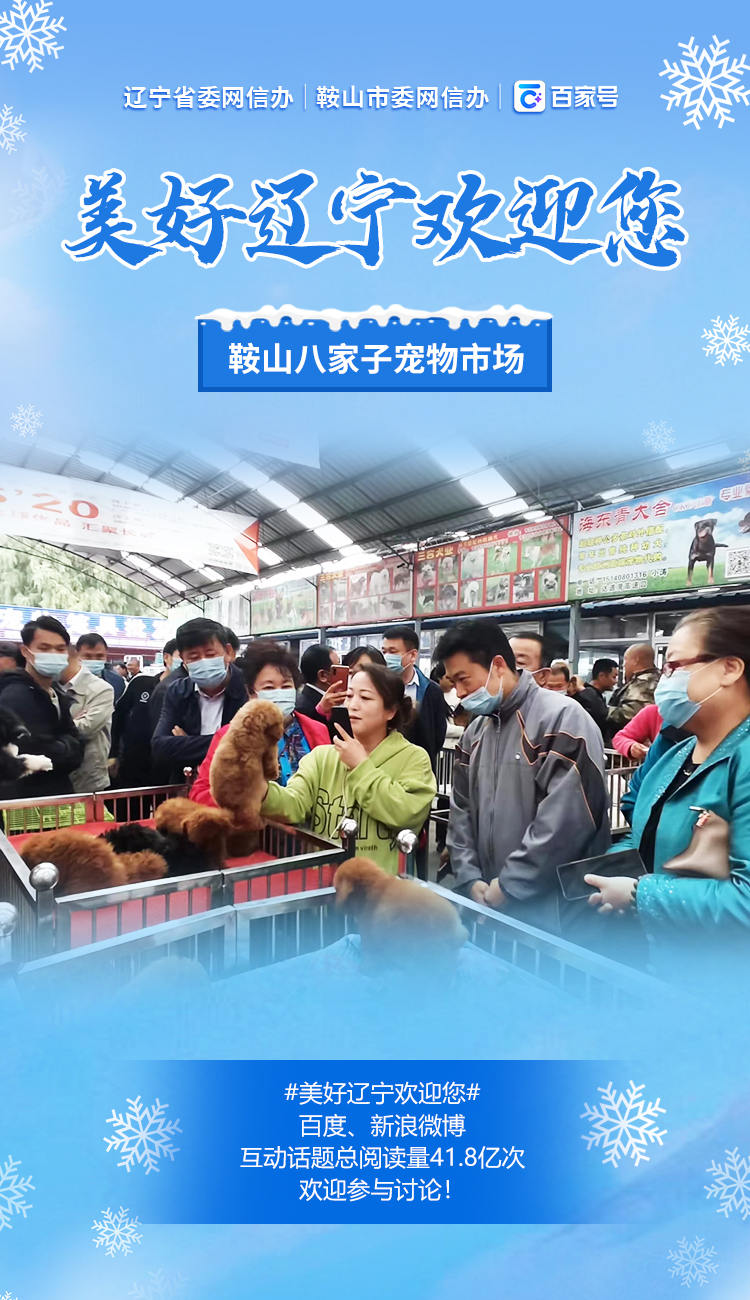 新时代六地辽宁杠杠滴# #有一种美好叫辽宁#【八家子狗市】