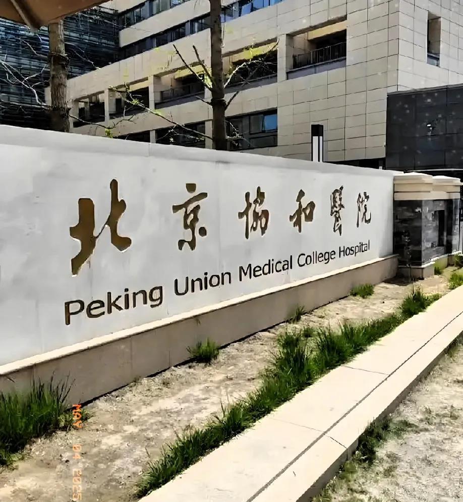 北京协和医院、协助就诊,就诊引导贩子挂号电话_挂号无需排队,直接找我们的简单介绍 北京协和医院、协助就诊,就诊引导贩子挂号电话_挂号无需排队,直接找我们的简单介绍