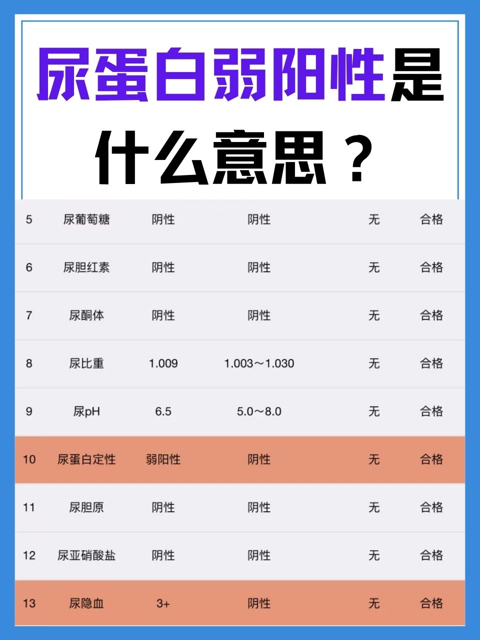 尿蛋白阳性图片