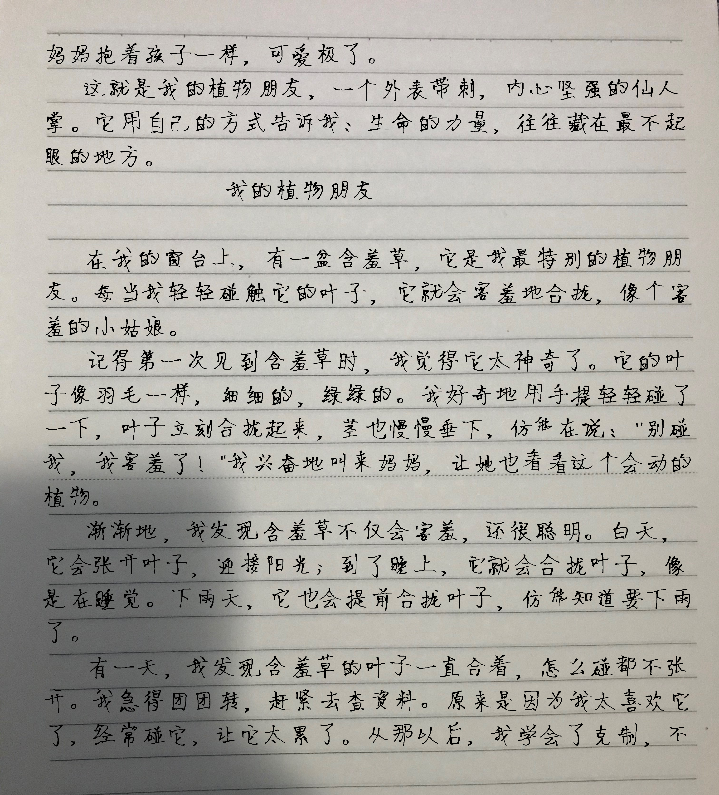 观察一种植物日记200字怎么写(观察一种植物日记200字怎么写的)