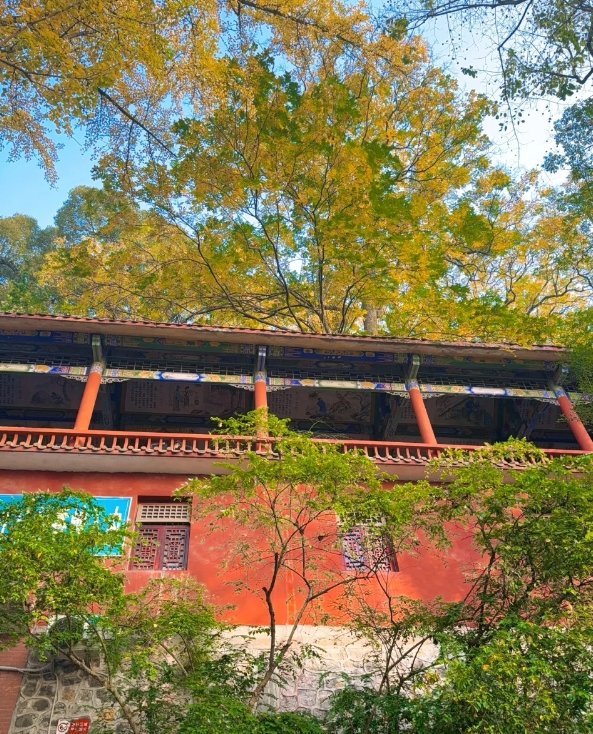 30 元买断重庆的星空与灯火 为了