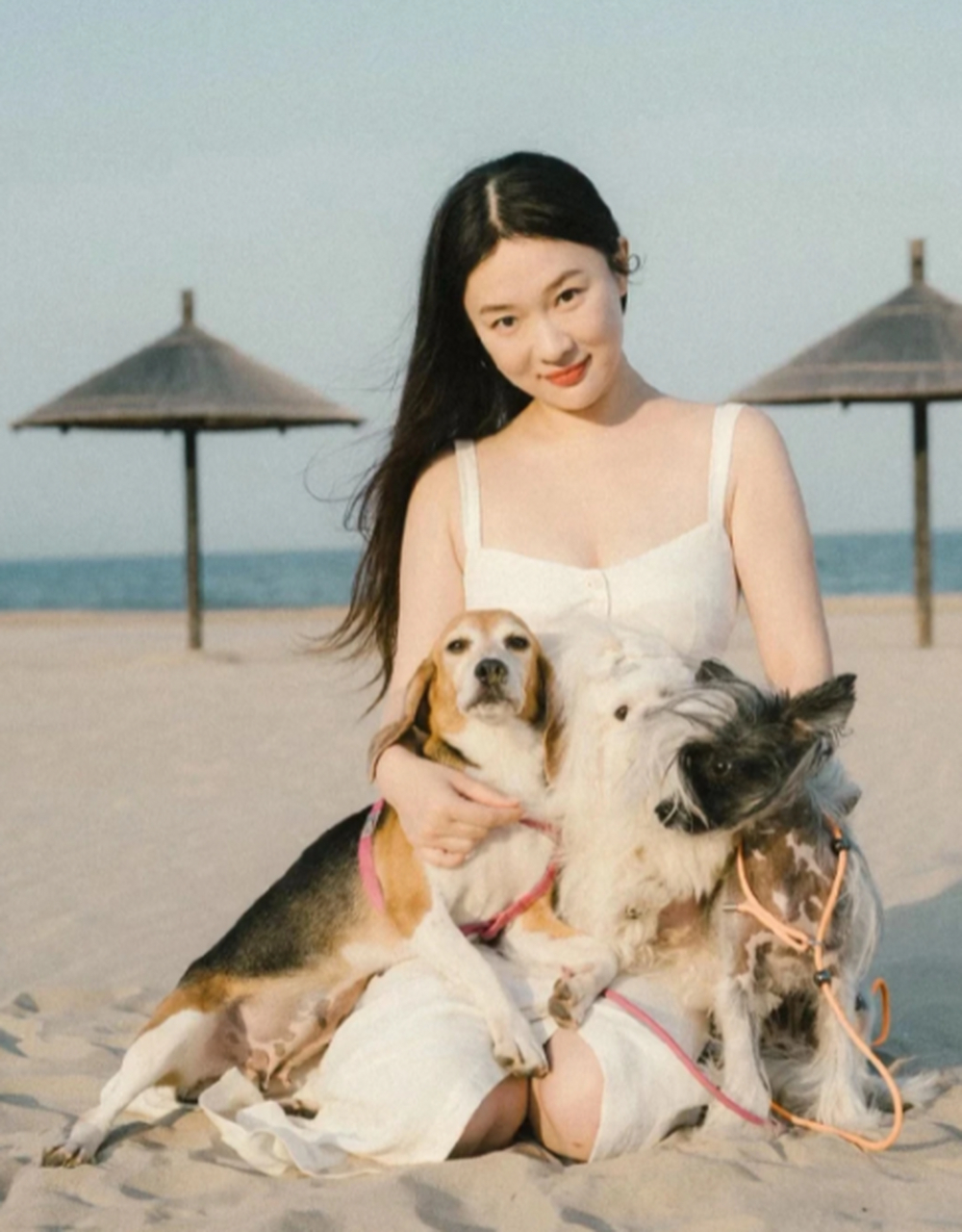 霍思燕真是爱狗之人啊!和小狗们的合影,太可爱了!