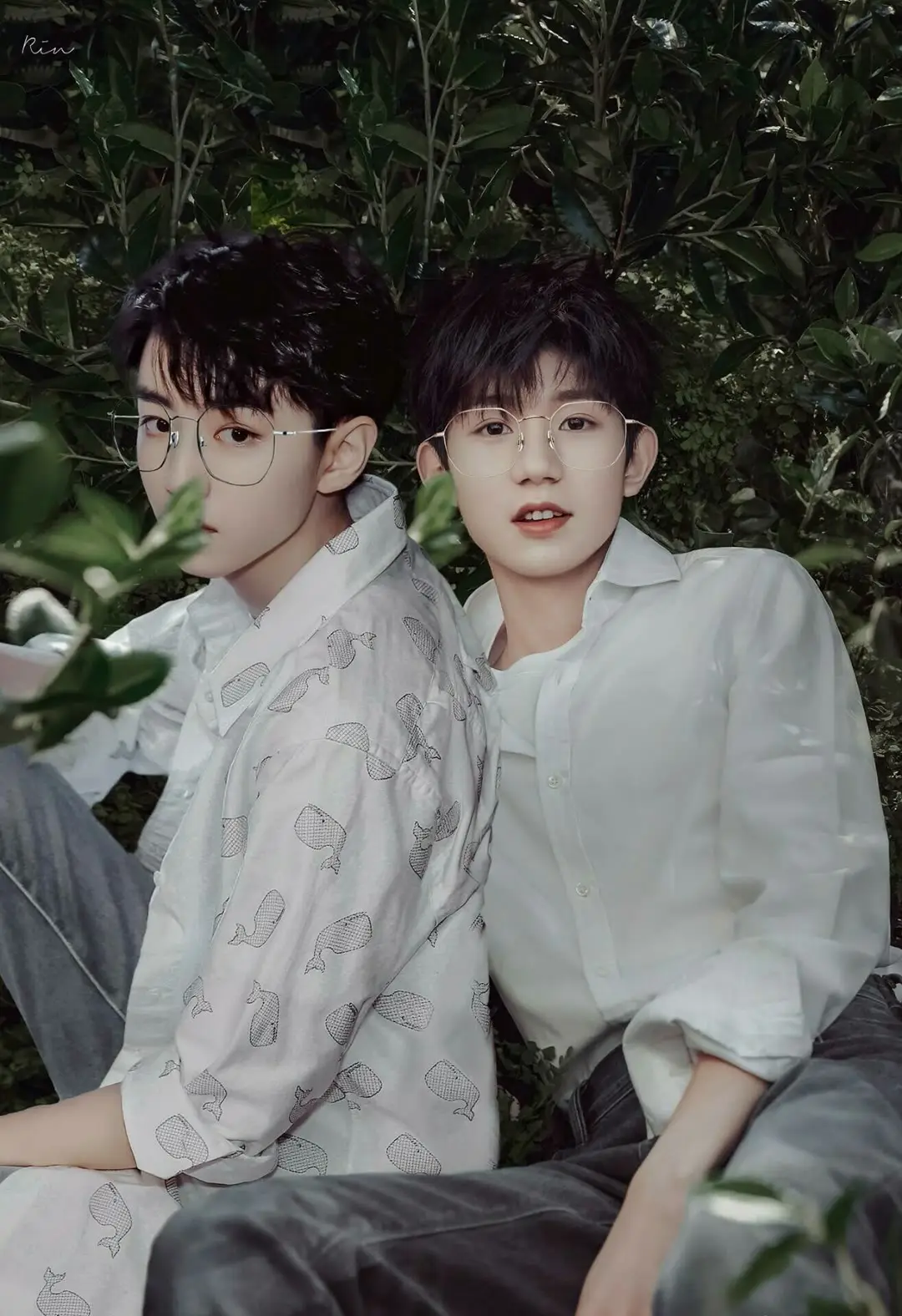 王源演唱会王俊凯温馨送花篮,展现深厚友情 在王源最近的演唱会中,一