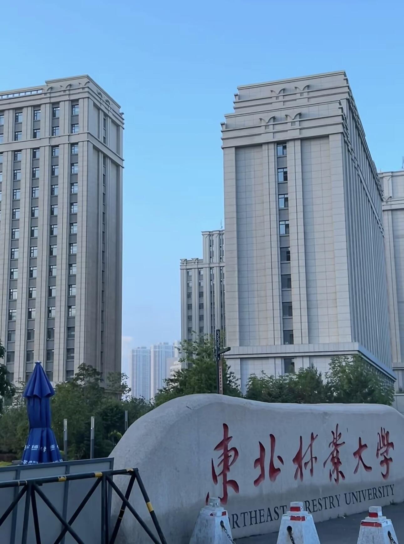 东北林业大学大门图片