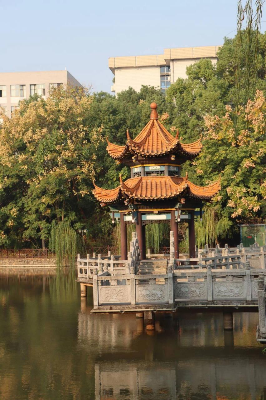 今天我要给大家揭秘一下湘潭大学兴湘学院的学费情况哦～93想知道这