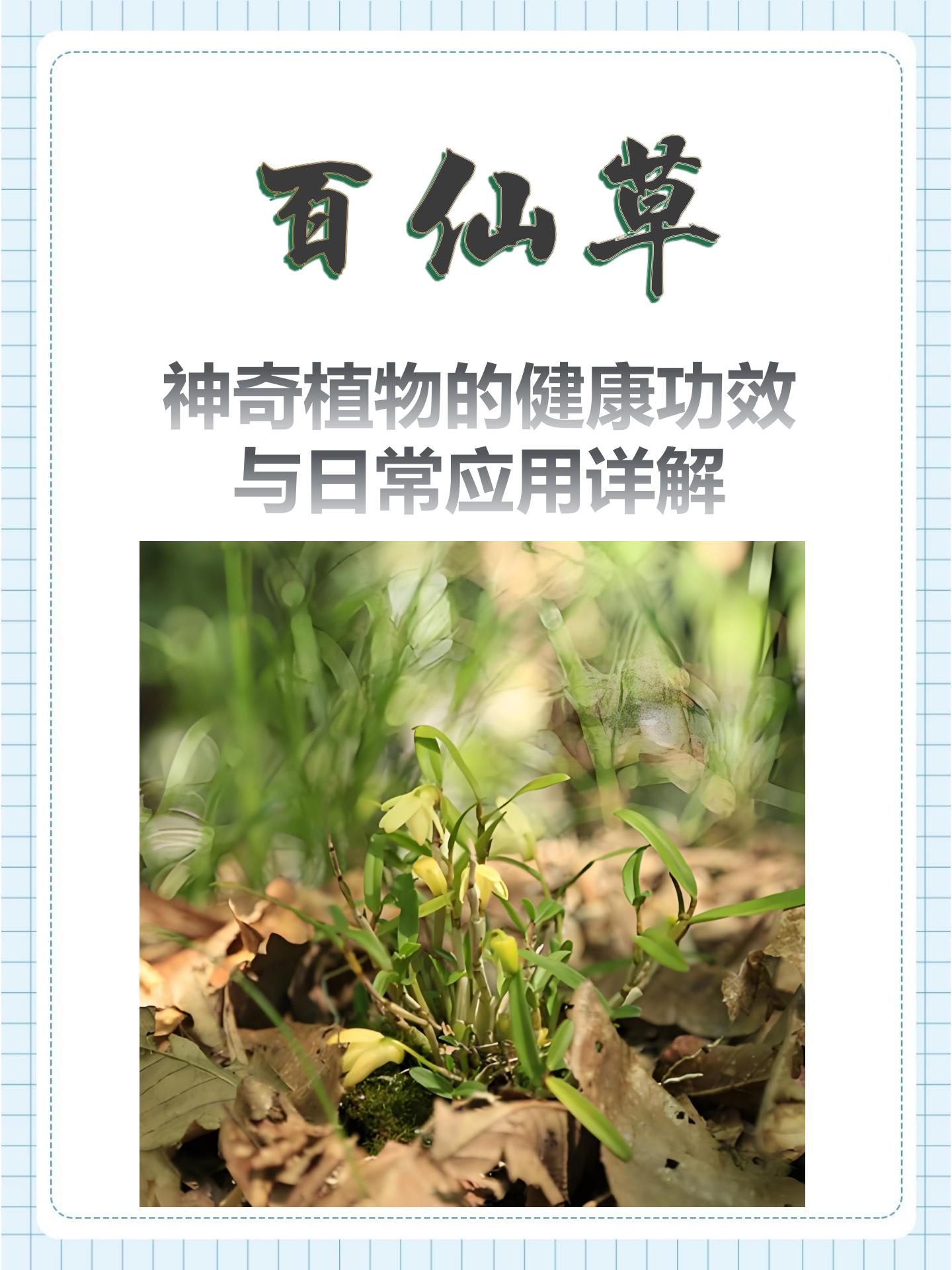 抖音找仙草=抖音博主仙仙小草莓