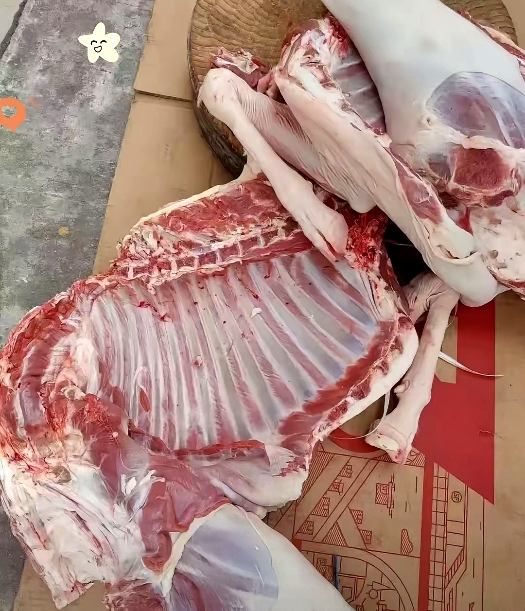 肉羊品种大全图片
