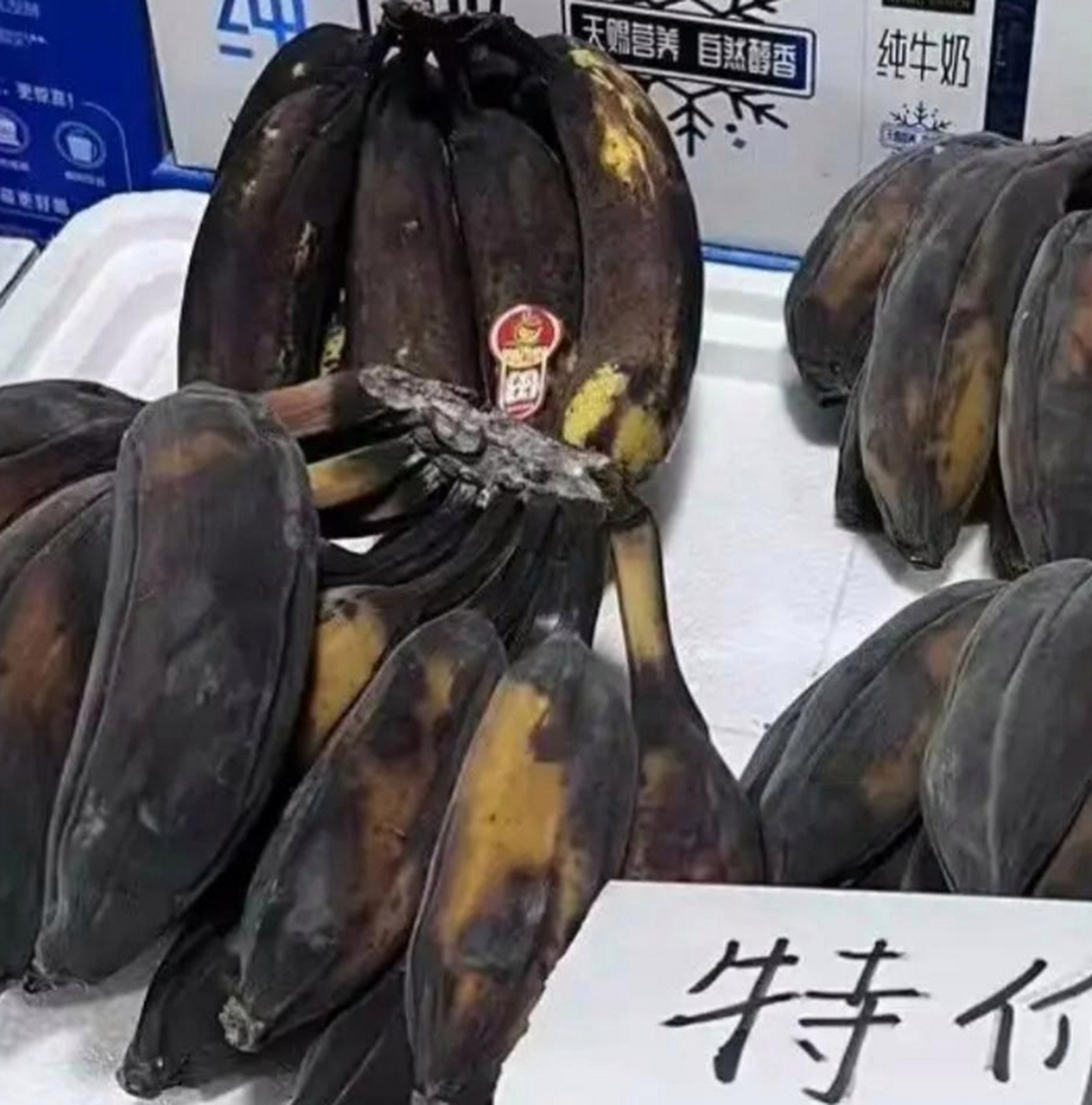 非洲特产黑色大香蕉