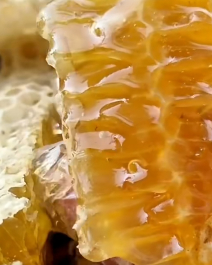 土蜂蜜和普通蜂蜜颜色的区别(土蜂蜜和普通蜂蜜口感的区别) 土蜂蜜和普通蜂蜜颜色的区别(土蜂蜜和普通蜂蜜口感的区别)