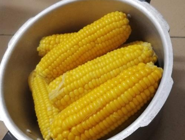 玉米要煮多长时间,这一看似简单的问题,实则蕴含着不少烹饪的智慧与
