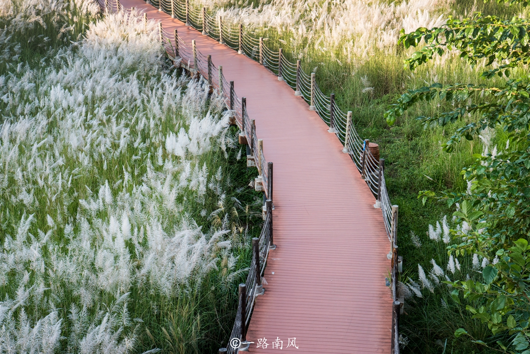 广元雪莲大道图片