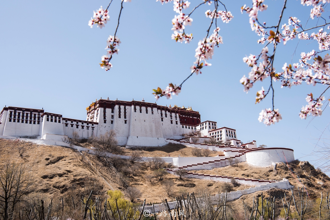 本以为这座高原城市自然风光单调,但春天的拉萨却美如江南,尤其是