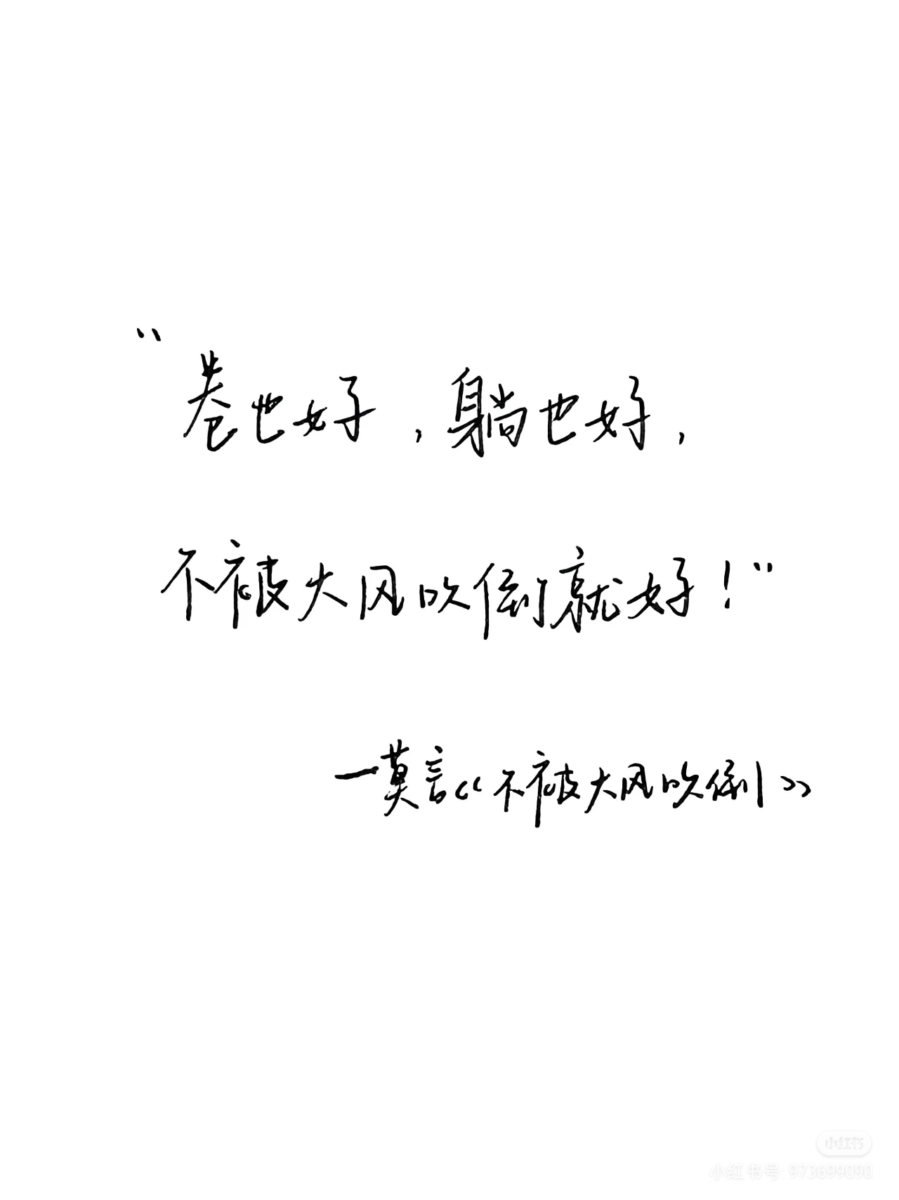 《不被大风吹倒》:逆境中的力量之源  "不被大风吹倒",莫言的这句话