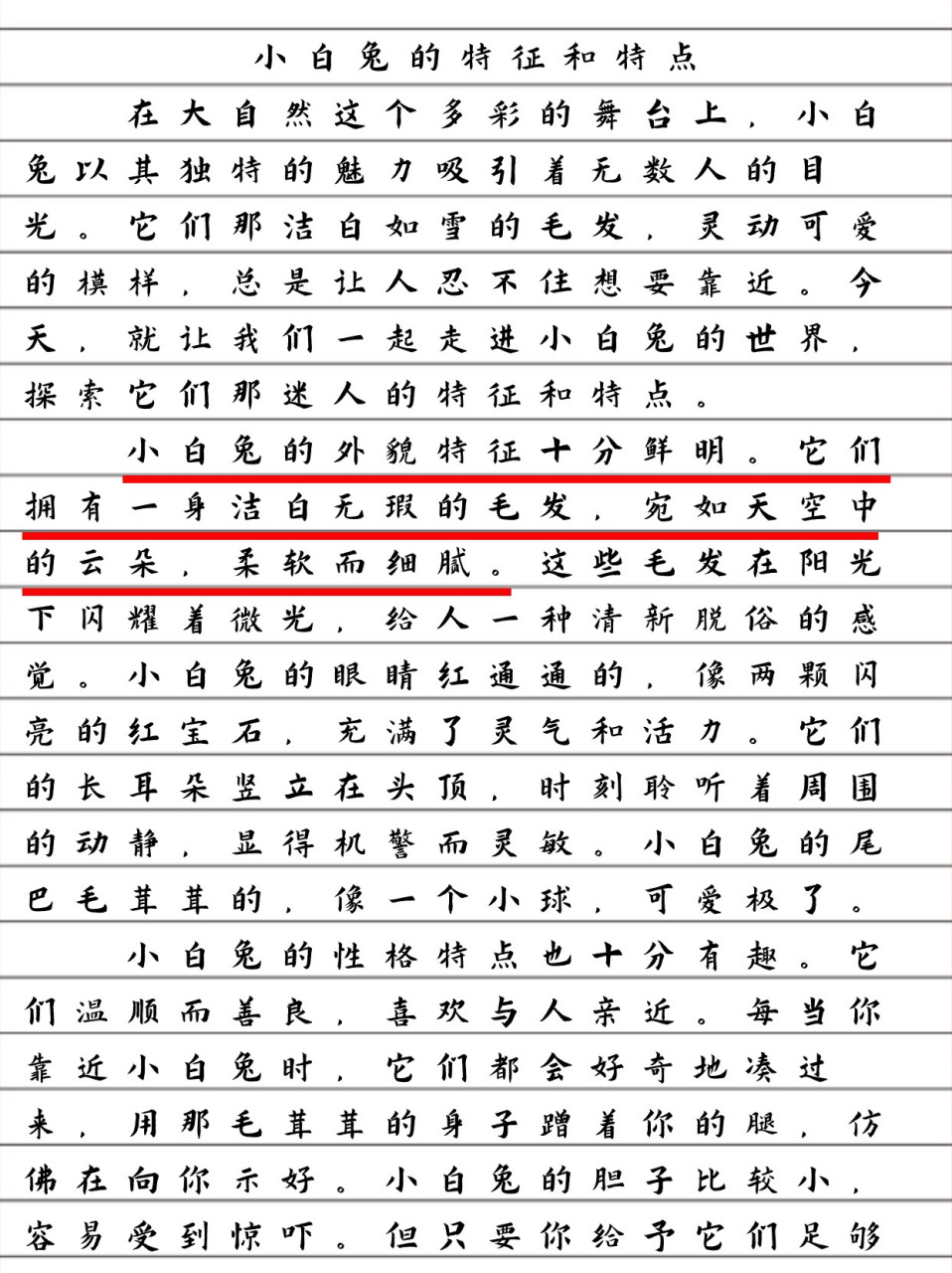 兔子的外貌描写100字图片