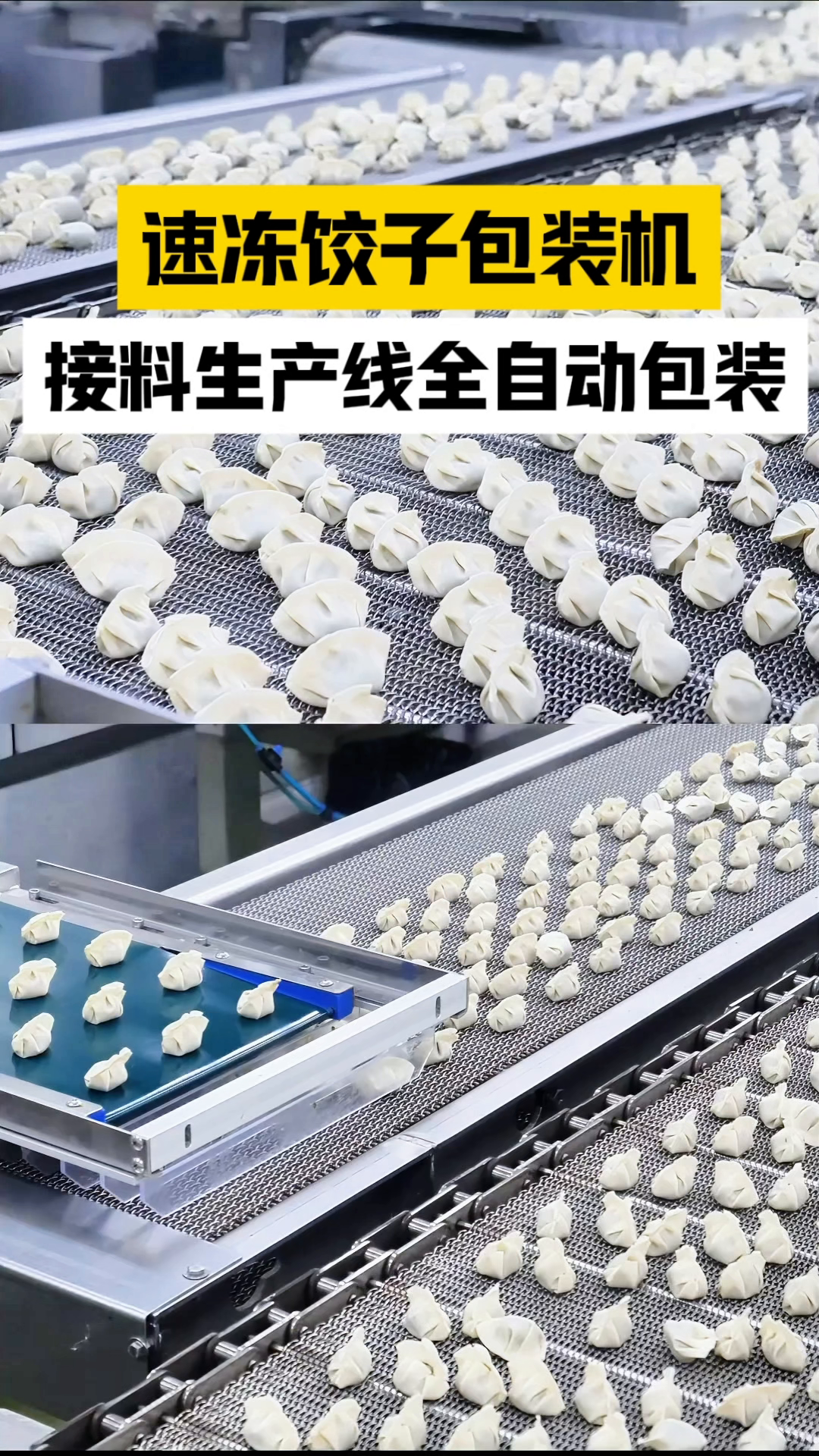 全自动给袋式包装机:冷冻饺子的高效解决方案!