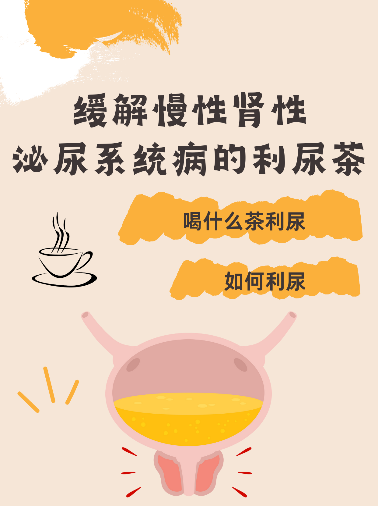 肾病茶饮(肾病的克星茶叶)