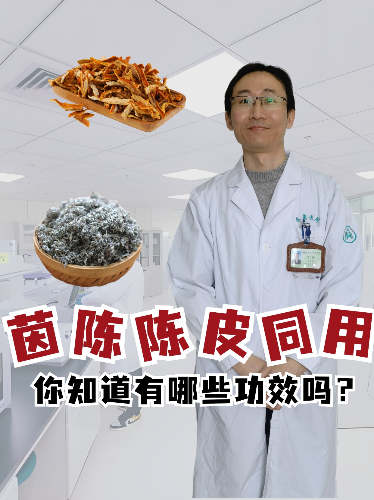 茵陈又称茵陈蒿是中医常用的一味草药它性味苦寒具有清热解毒