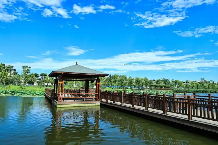 女子报警控告男友诈骗,反被强行送入精神病院?