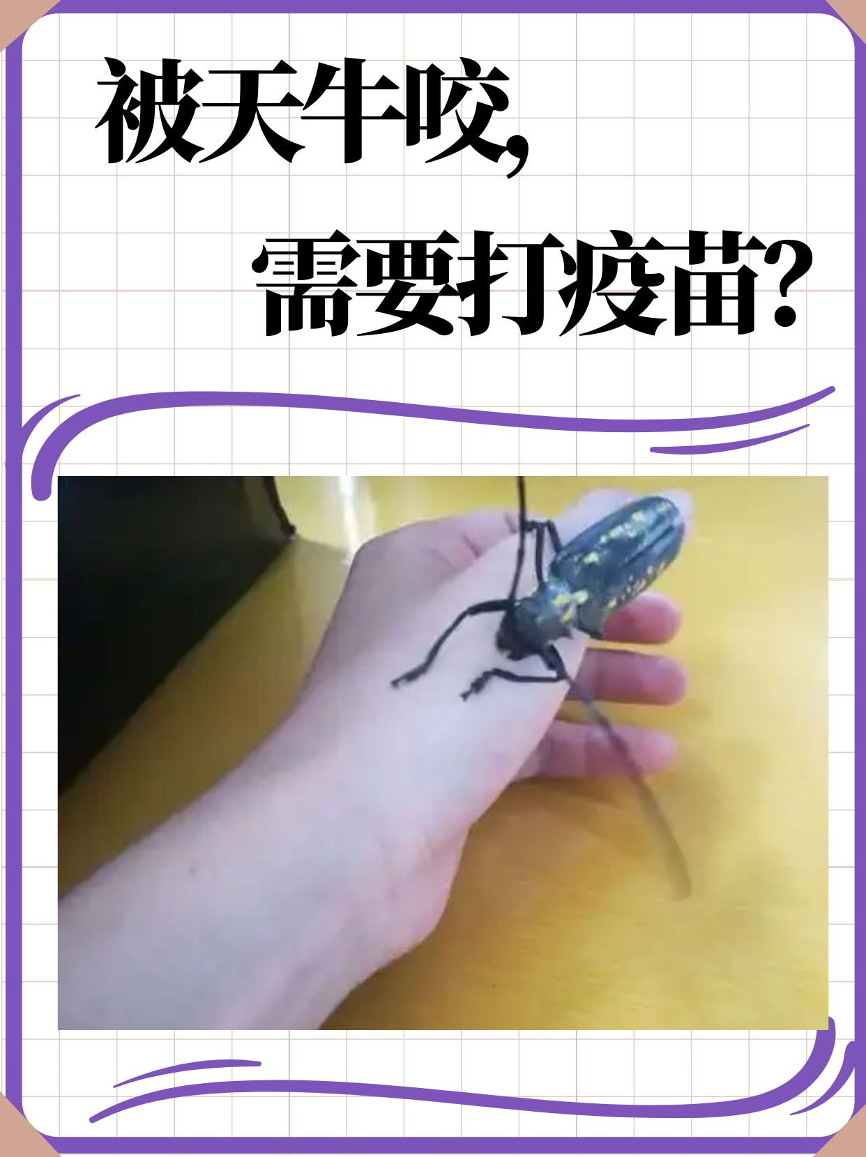 在大自然中,昆虫种类繁多,其中天牛作为一种常见的长角类昆虫,偶尔