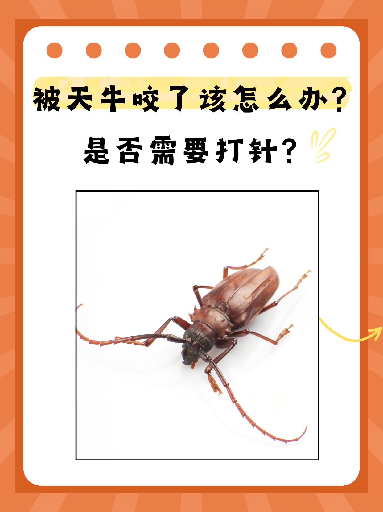 天牛是一种常见的昆虫,虽然它的咬伤通常不至于引发严重健康问题,但