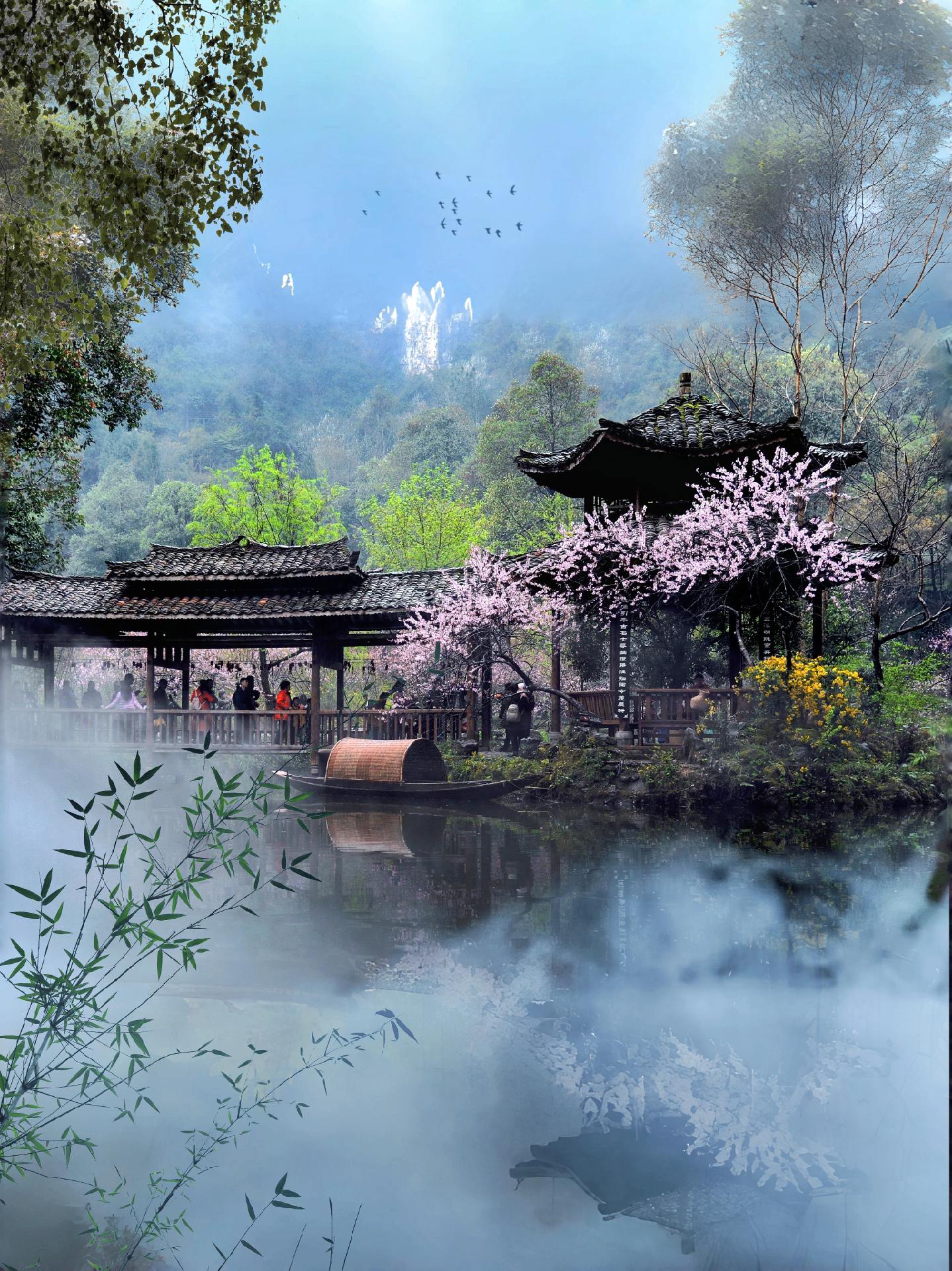 如果你是自驾游爱好者,那就直接导航"上虞市桃花