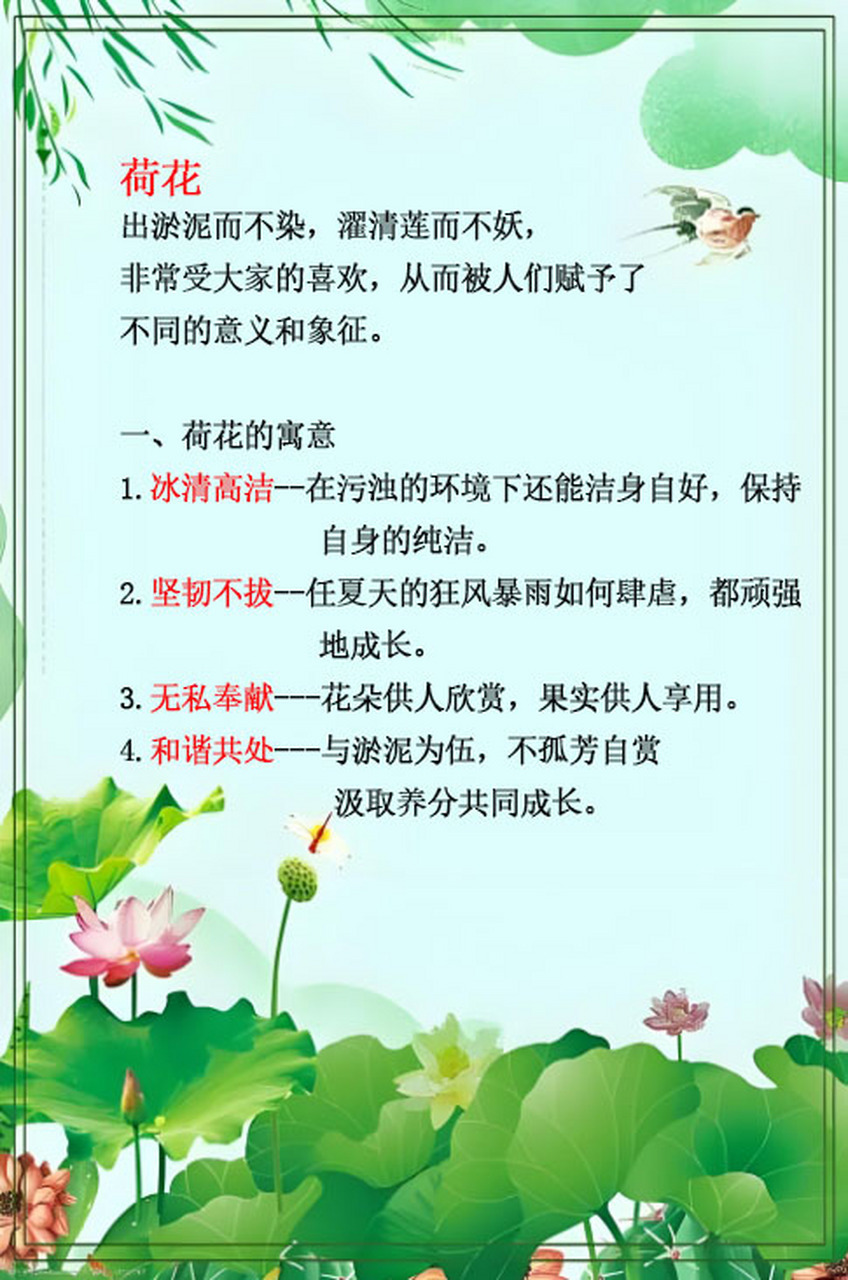 荷花的寓意和象征  说到荷花,大家都不陌生,因为在夏天的时候大家在